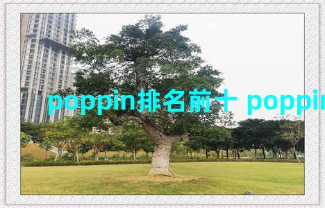 poppin排名前十 poppin大神排名